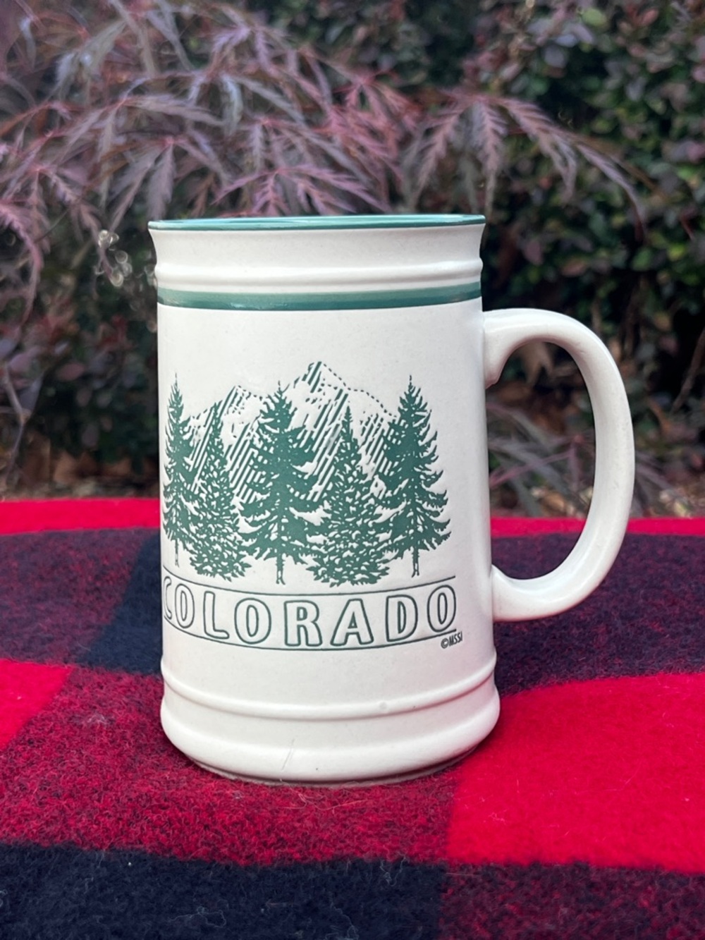 Vintage Colorado Souvenir Mug